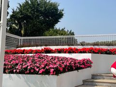 -深圳国际园林花卉博览园