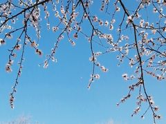 -太阳宫公园