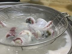 -源港渔村-中山脆肉鲩(博罗店)
