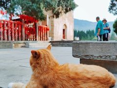 -四门塔风景区