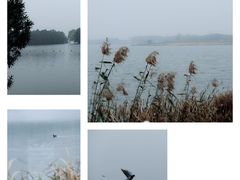 -虎丘湿地公园