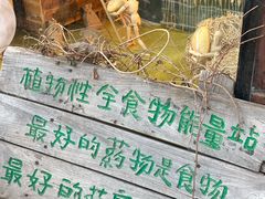 -辛庄国际文化艺术区