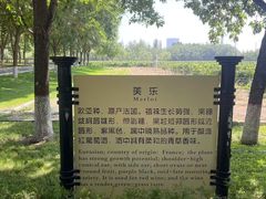 -龙谕酒庄