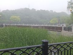 -大连植物园