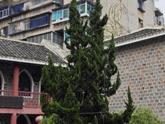 -贵阳北天主教堂