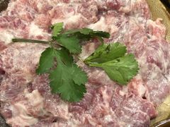 嫩肉片-仪表厂火锅(总店)