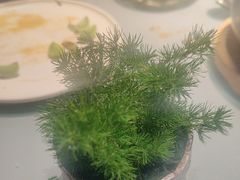 -小大董·烤鸭(观景餐厅·南京西路店)