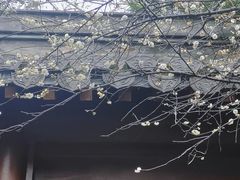 -钱王祠