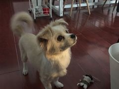 -零几体验diy皮具工作室(振业城店)