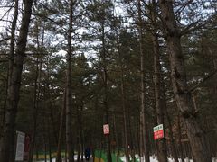 -帽儿山国家森林公园