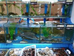 水产区-富临港·蒸汽海鲜·手抓海鲜·炒菜(栈桥店)