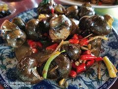 -生态苑农庄(十里画廊遇龙河店)