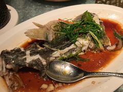 笋壳鱼-新雅(丰盛里店)