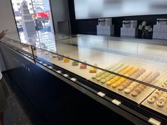 -BLACKSWAN黑天鹅(环球店)