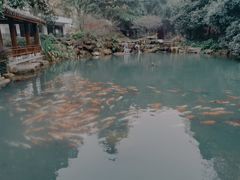 -兰溪地下长河