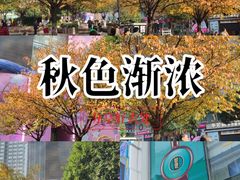 -观音桥步行街