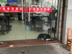 -好运来农家菜(吉林路店)