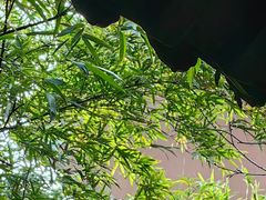 -钱王祠