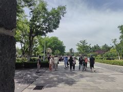 -蓬莱阁景区