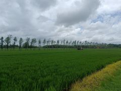 -嘉北郊野公园