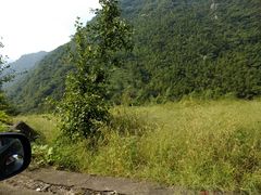 -天目山大树王景区