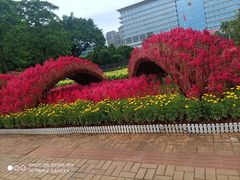 -万达影城IMAX(海口日月广场店)