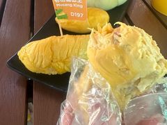 -榴莲BB 四季果园