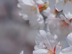 -长田漾湿地公园