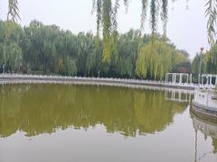 -丰台花园