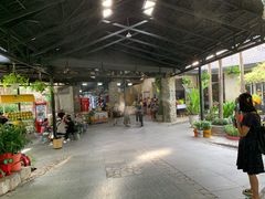 -100蛋泥浆浴