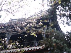 -望江楼公园