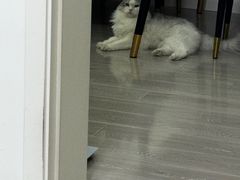 -南京市民俗博物馆(甘熙宅第)