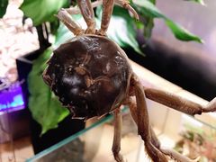 -千家粗粮王(MOMOPARK店)