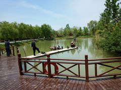 -泗洪洪泽湖湿地景区