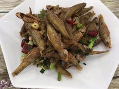 -品雅轩农家乐