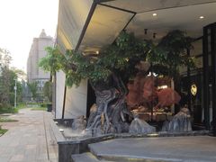 -院里寻菜·精致庭院菜(观沙岭店)