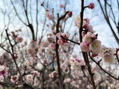 -新虹桥中心花园