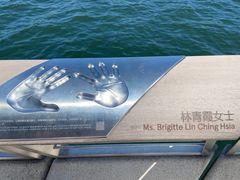 -星光大道
