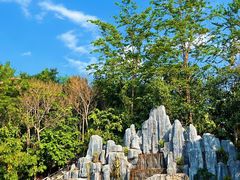 -西双版纳勐泐文化旅游区