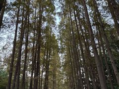 -上海植物园-4号门售票处