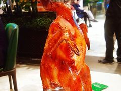 -五稻厨房粤西菜(新闻店)
