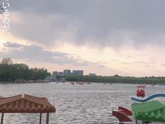 -北陵公园