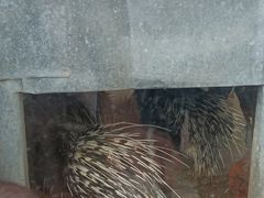 -黔灵山公园