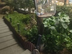 -蘇河湾·新鲁菜·泰山宴(泰山店)