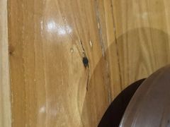 -冰川冷面·延边菜·炭烤串(观前店)