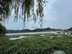 -鸣鹤古镇