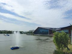 -上海长兴岛郊野公园