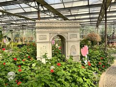 -南宫五洲植物乐园