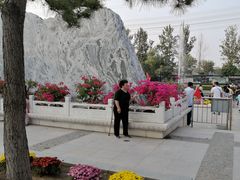 -燕郊植物园