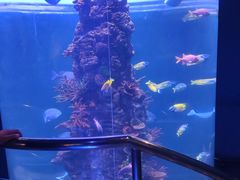 -西安曲江海洋极地公园